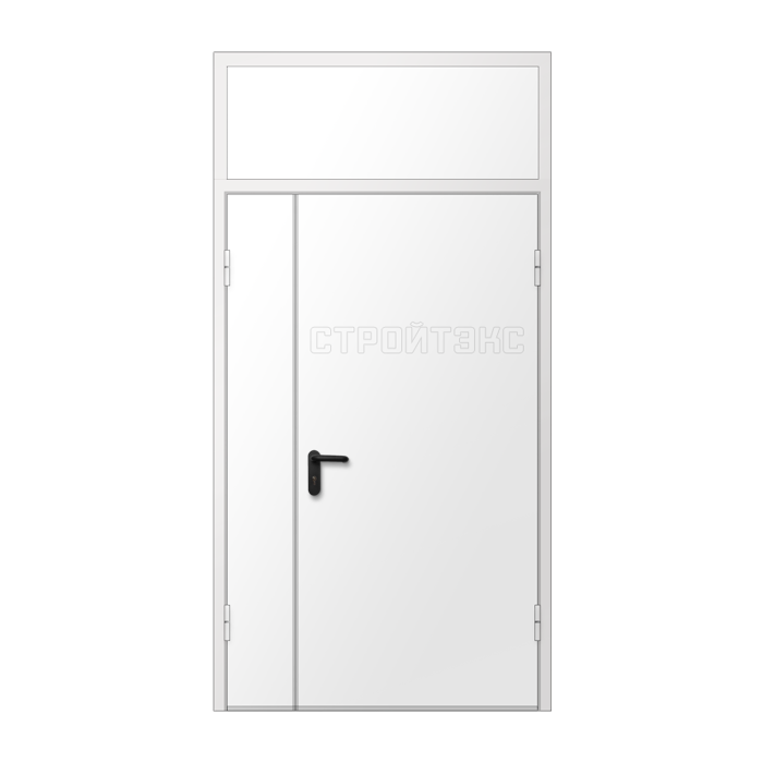 Дверь противопожарная металлическая EIS60 с фрамугой двупольная